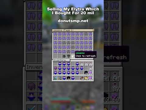 dOnut sMp eLytra mOment  #minecraft