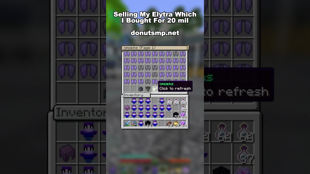 dOnut sMp eLytra mOment  #minecraft