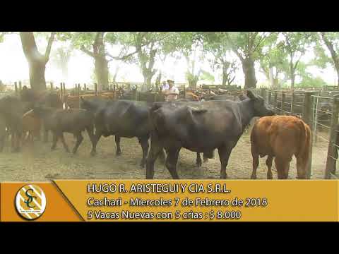 07-02-18 Venta de Vientres - Hugo R. Aristegui y Cia S.R.L. - Cacharì.