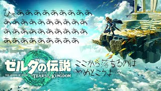 【ゼルダの伝説】今日こそは宙船を攻略します…！！！『生放送Part477』
