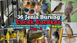 Download lagu 36 Types of Cucak-Cucakan Singing Birds‼️Including the price of the materials. Part-1 mp3