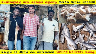 உலகத்துக்கே ஏற்றுமதி செய்யப்படும் Export Quality Dry Fish From Thoothukudi