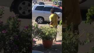 Download lagu Status WA ODGJ Bebas...!!! Joget Santuy... Heboh... mp3