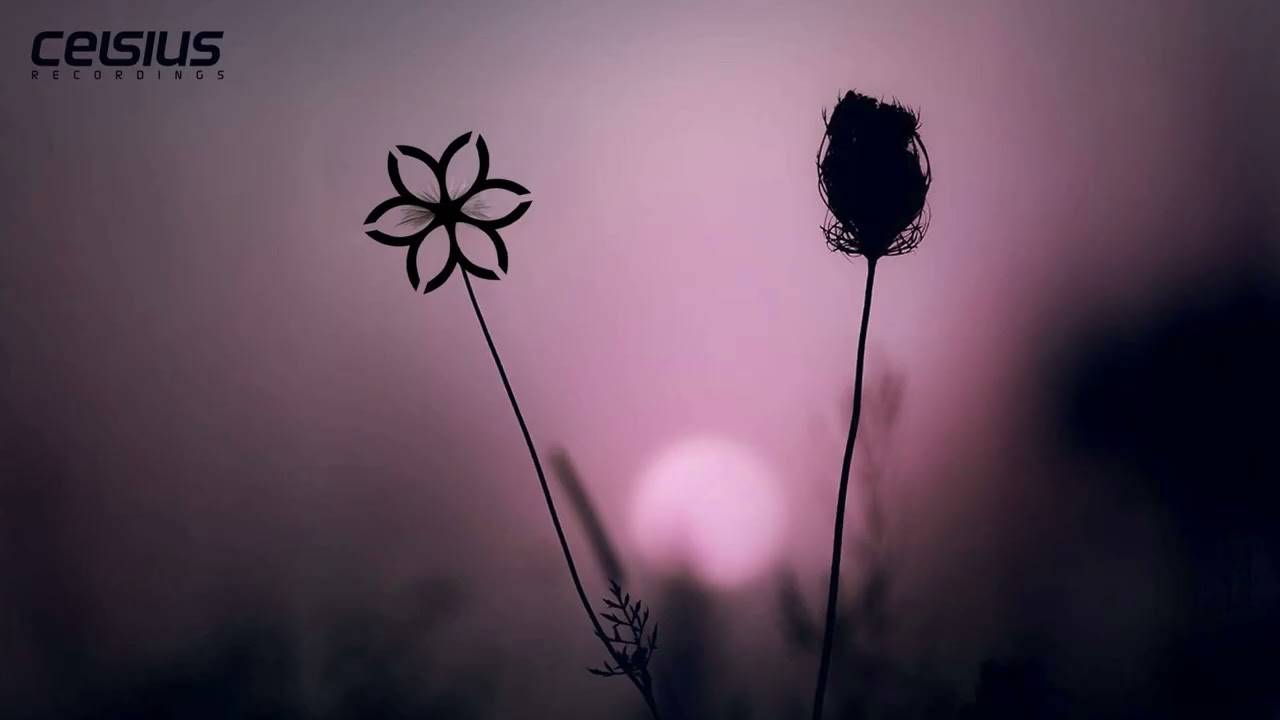 TMK - Take It All Away