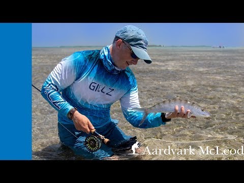 Skinny Water Bones - One Minute Monday