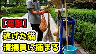 【爆笑】SNSでバズった投稿にアフレコしたら面白すぎたｗｗｗ