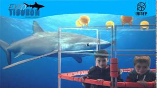 DIA 2 Expo Tiburon95