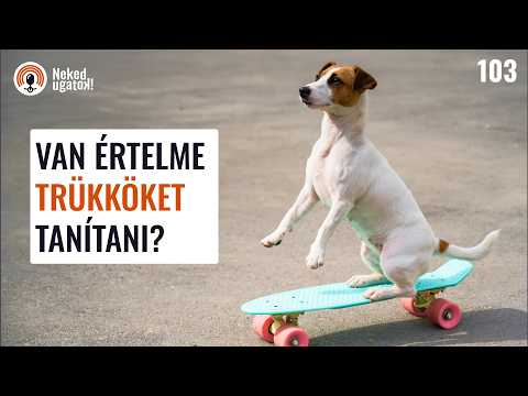 Amit minden gazdinak tudnia kell a TRÜKKÖK tanításáról | #102