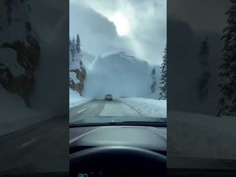 “Driving Into Danger: Avalanche in Real Time”