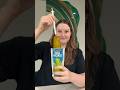 ️PICKLE REVIEW ️ Van Holten S Pickles DILL Rating 1 10 Pickles Foodreview Mukbang