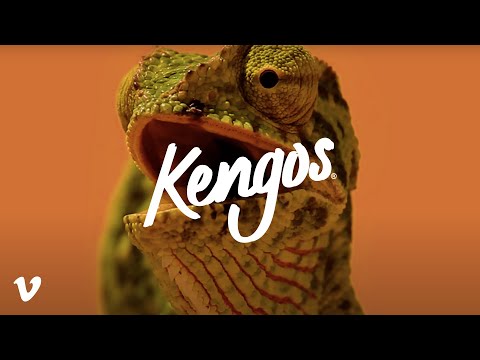 Customer Spotlight: Kengos