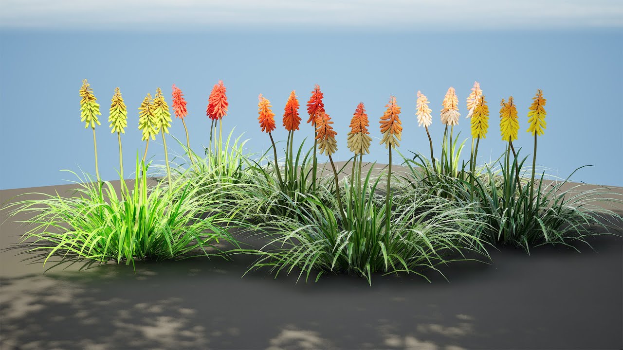 Red Hot Poker Striking Flowers 3D Model