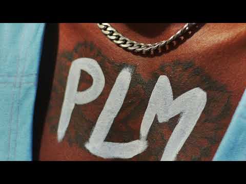 PLM, Fastah Selectah  - Shake Your Body (AUDIO)