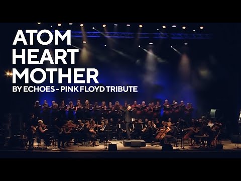 interstellar echoes a tribute to pink floyd interstellar echoes a tribute to pink floyd
