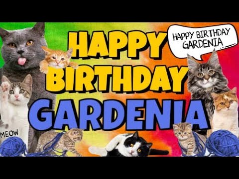 Happy Birthday Gardenia! Crazy Cats Say Happy Birthday Gardenia (Very Funny)