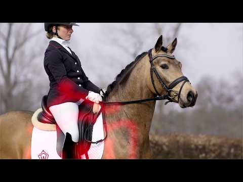 11 Mr. Mc Kennie Hengst v. FS Mr. Right - Los Angeles