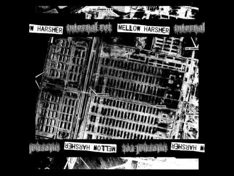 INTERNAL ROT (australia) split 7´´EP 2015 w/Mellow Harsher