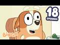 18 FULL EPISODES 2 HOURS Of Bingo Bluey Full Episodes Bingo Official Channel