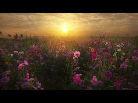 Artemil - Your Angel (Lokovski Remix)