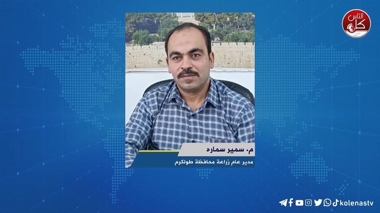مع اقتراب موسم الزيتون.. تصاعد وتيرة اعتداءات المستوطنين وهناك تخوفات من ضياعه