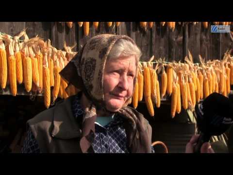 Műsorajánló kisfilm - Székelyabod