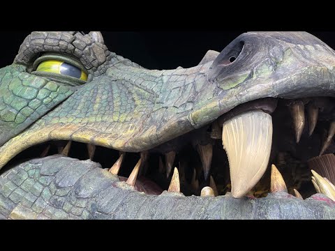 Der aktuelle Further Drache vom Drachenstich im Bayerischen Wald - Präsentation