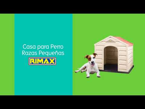 SILLA DINASTIA BLANCA_3