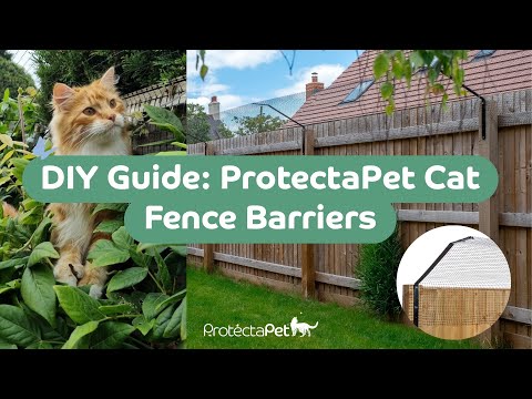 🐱🔧 DIY Guide: How to Install ProtectaPet Cat Fence Barriers