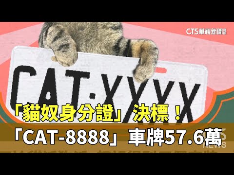 「貓奴身分證」決標！　「CAT-8888」車牌57.6萬