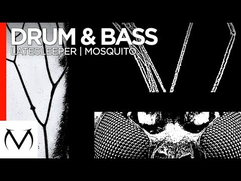 [DnB] - latesleeper - Mosquito [Free Download]