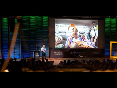 Meet Bob the Flamingo, He’s Family | Jasper Doest | Storytellers Summit 2020