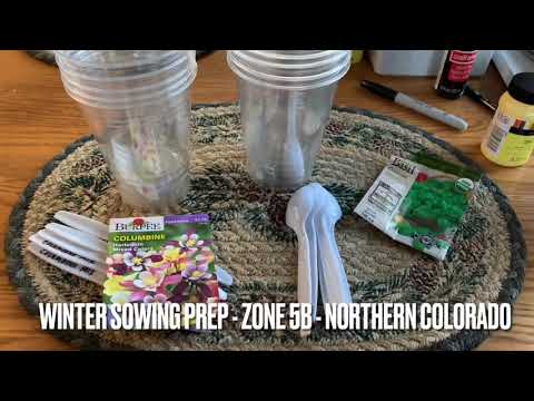 Winter Sowing Prep in Northern Colorado (Zone 5b)