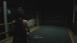 BIOHAZARD RE:3 Z ネメシス第2形態2戦目 インフェルノ特典アイテムなし