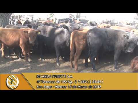 16-03-18 Venta de Machos - Ricardo Peiretti S.A. - San Jorge