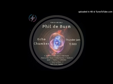 Phil de Burn - Echo Chamber (Saskin S Amino Remix)