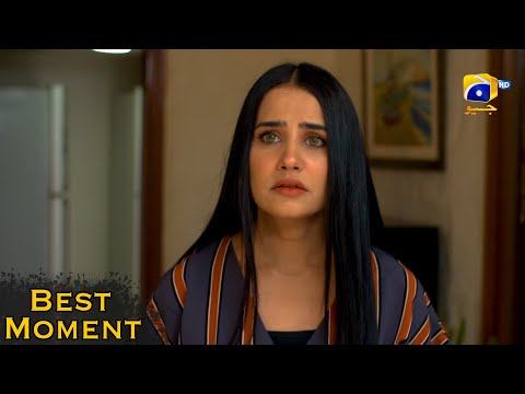 Grift Episode 53 || Ali Abbas - Saniya Shamshad || 𝐁𝐞𝐬𝐭 𝐌𝐨𝐦𝐞𝐧𝐭 𝟎𝟒 || Har Pal Geo