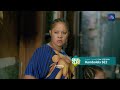 Binti Msumi Anataka Kumfanya Nini Mwadawa KOMBOLELA SE02 EP 151