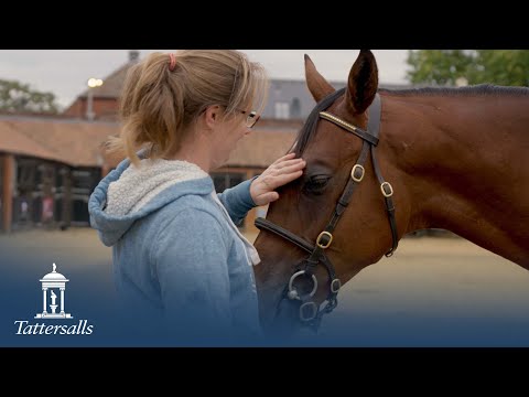 Tattersalls October Yearling Sale Book 3 & 4 2021 Review
