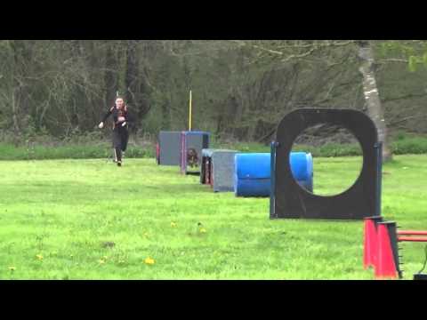 2016 04 24 THS Schmelz Limbach Aline u Nala Hindernisbahn 1