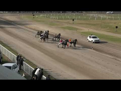 Trka "Park Novi Residence-Novi Sad" 11.10.2020 Saphir AT - Miodrag Pantić