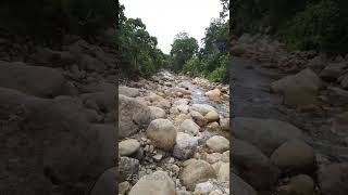 Download lagu Hutan Lipur Tupah ,Merbok Sungai Petani Kedah...#shorts mp3