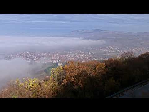 Relaxing Music For Seclusion and Peace Of Mind, Stop Anxiety 🌿 Soothing Relaxation For Deep Sleep