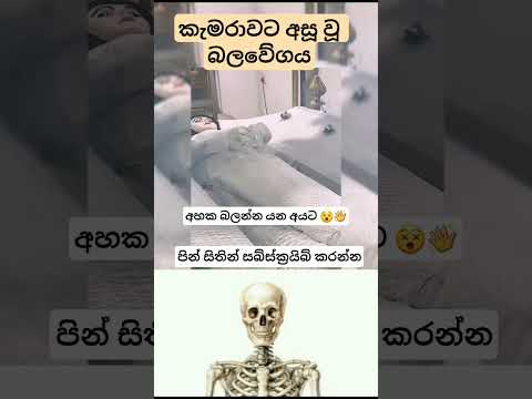 සංවේදි අය බලන්න එපා!🚫 #buddha #sinhala