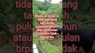 Download lagu waktu nya cari pahala..#fyp #reels #pengikut mp3