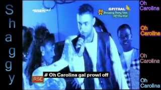 Shaggy Oh Carolina