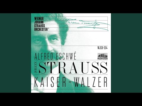 Dorfschwalben aus Österreich, OP. 164 (Live)