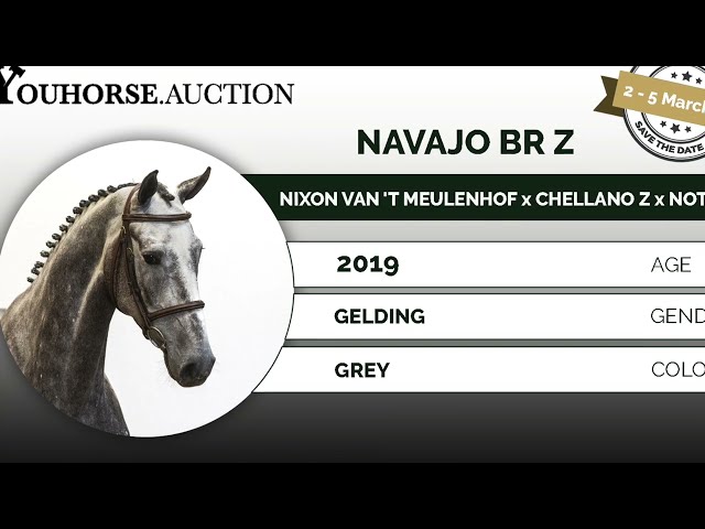 Navaja showvideo & lead changes
