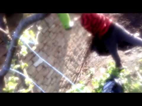 Boxerul din Beica de jos