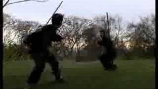 Two Person Staff Fighting Form