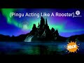 Pingu Outro 2005